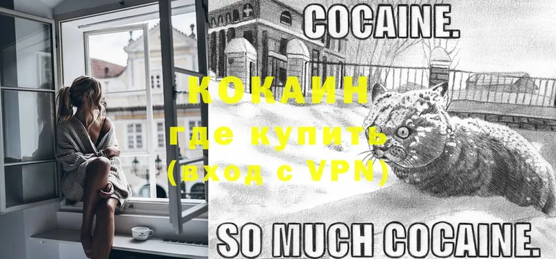 COCAIN Columbia Новошахтинск